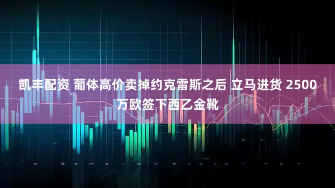 凯丰配资 葡体高价卖掉约克雷斯之后 立马进货 2500万欧签下西乙金靴