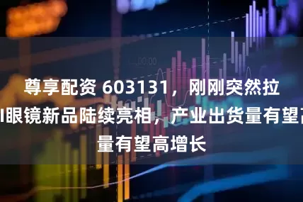 尊享配资 603131，刚刚突然拉升！AI眼镜新品陆续亮相，产业出货量有望高增长